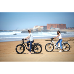 Vélo électrique eBike Syndey